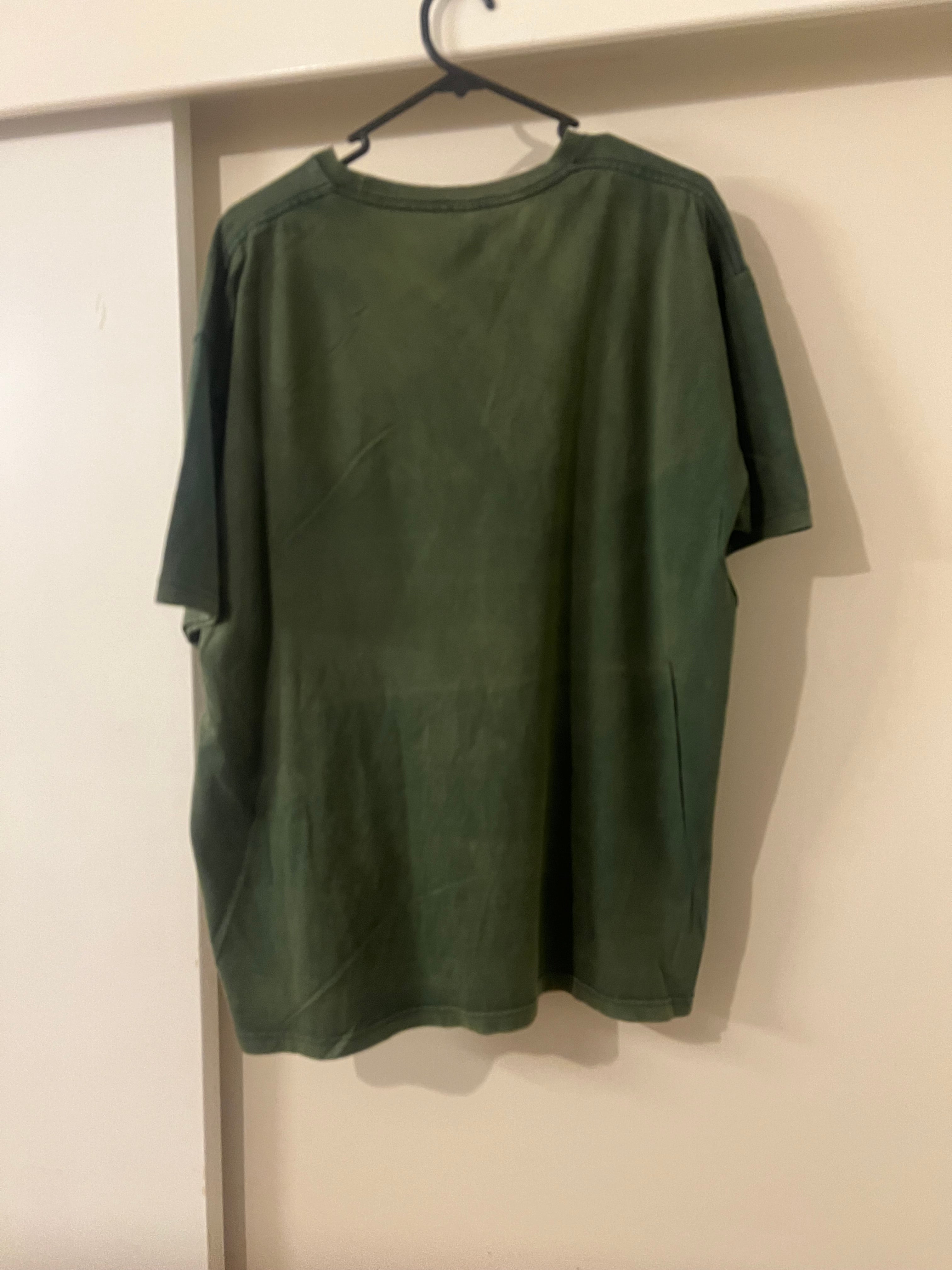 Anti Beyond Skate Hero (Green) Shirt